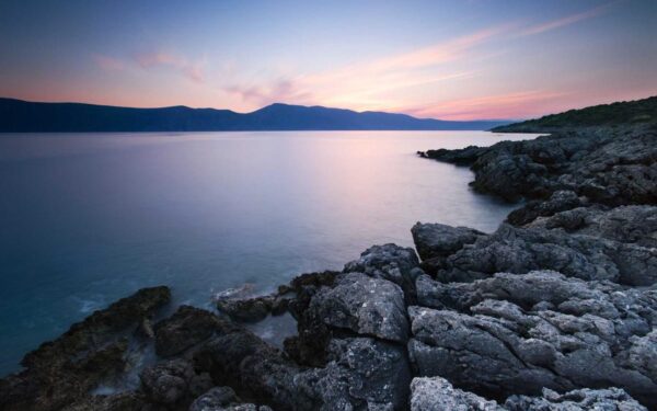 Cover Crop Grains That Feed Your Soil and Your Family