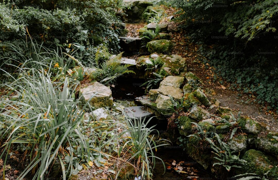 Create a Garden Path: Materials, Designs, and DIY Installation