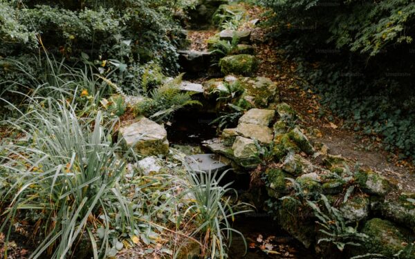 Create a Garden Path: Materials, Designs, and DIY Installation