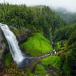 Deer and Squirrel Proof Bulbs: Best Varieties They Won't Dig Up