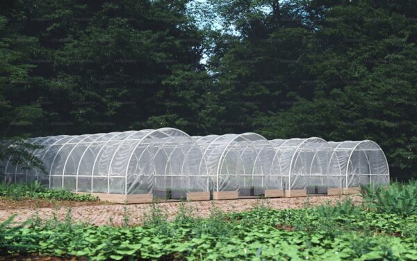 Diatomaceous Earth in the Garden: A Natural Pest Barrier