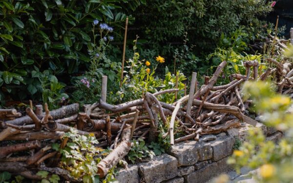 DIY Garden Trellis Ideas: 10 Easy Projects for Any Budget