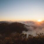 DIY Hydroponic System: Build Your Own for Under 50 Dollars