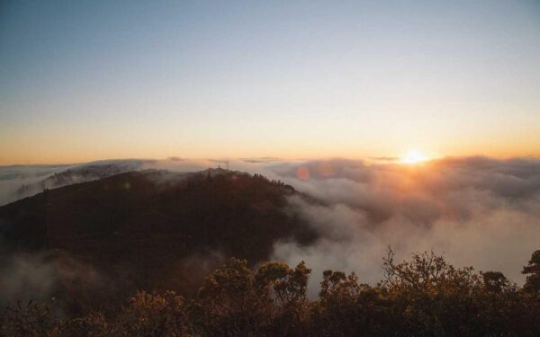 DIY Hydroponic System: Build Your Own for Under 50 Dollars