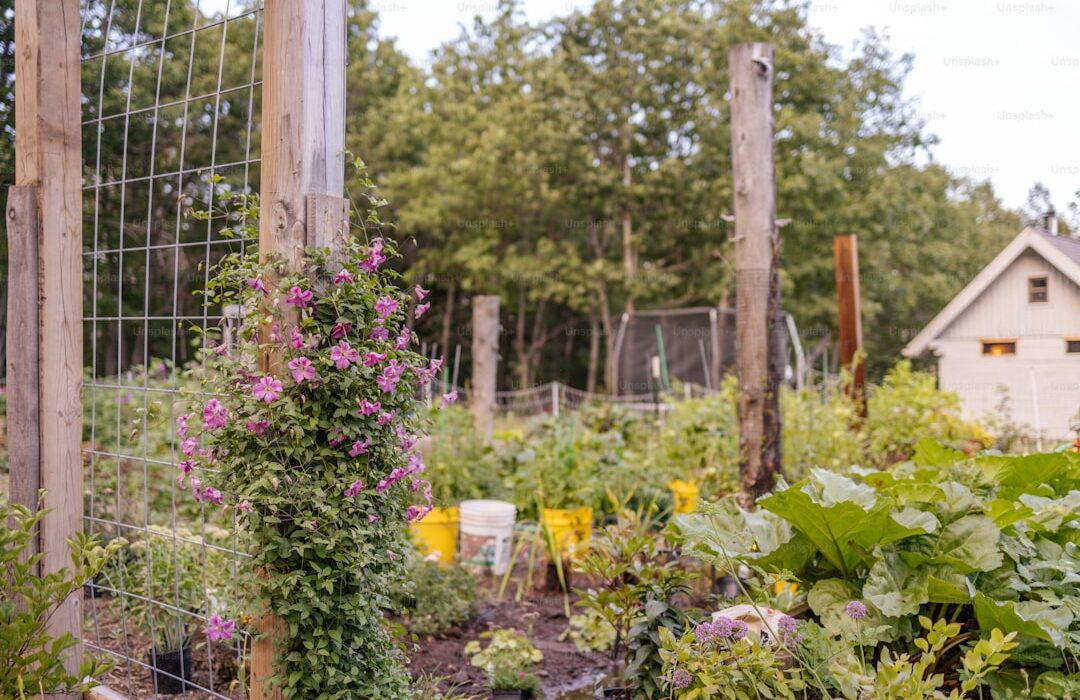 Elevate Your Garden with Fence Planters