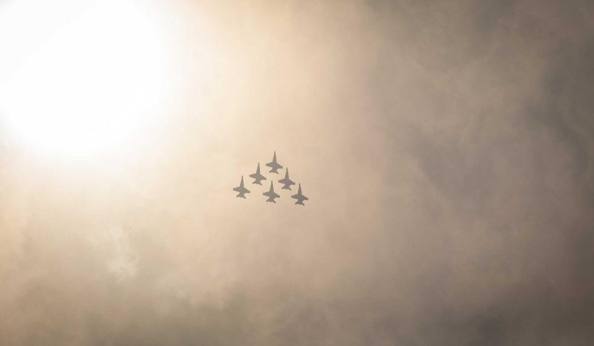 Evergreen Foliage Plants for Winter Garden Interest