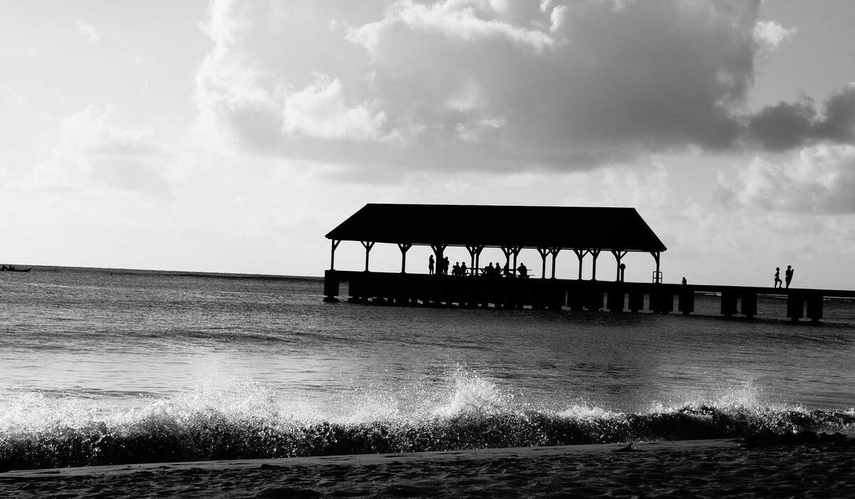 Fall Leaf Mulch: Turn Autumn Leaves into Garden Gold