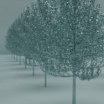 Fast-Growing Privacy Trees: Living Screens and Windbreaks