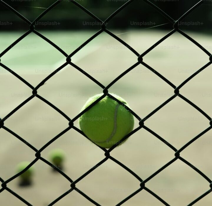 Fast-Growing Privacy Vines: Create a Natural Screen