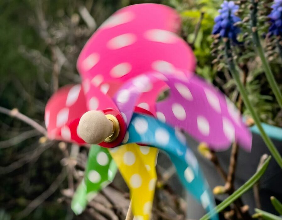Flowering Ground Covers: Colorful Alternatives to Mulch