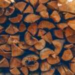 Free Mulch Sources: Where to Get Mulch Without Spending Money