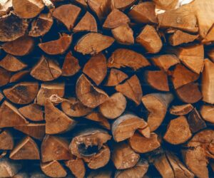 Free Mulch Sources: Where to Get Mulch Without Spending Money