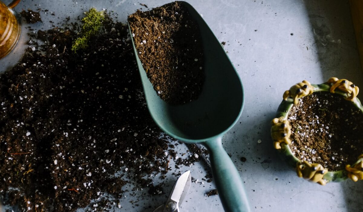 Essential garden tools arranged for planting and maintenance