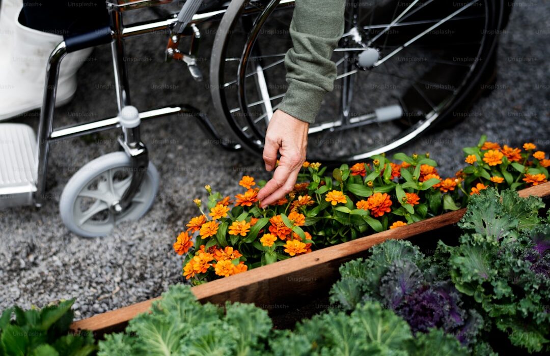 Gardening with Limited Mobility: Tips and Adaptations