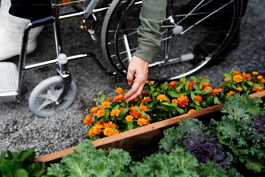 Gardening with Limited Mobility: Tips and Adaptations