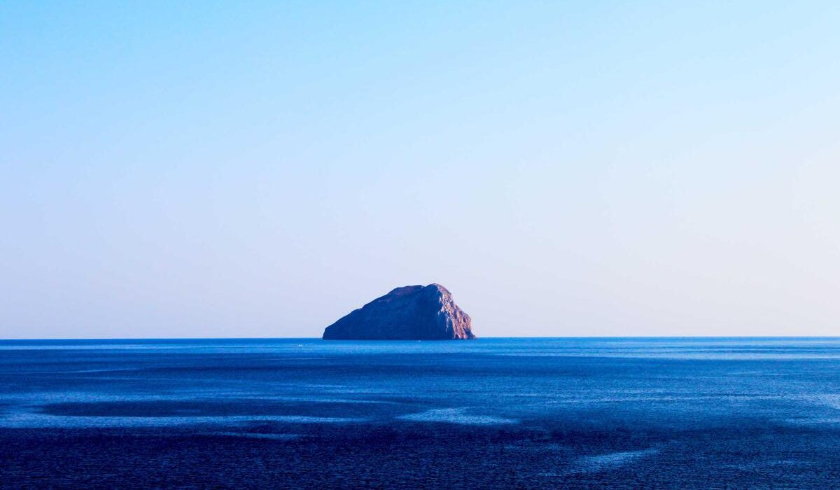 Ground Cover for Slopes and Erosion Control