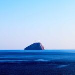 Ground Cover for Slopes and Erosion Control