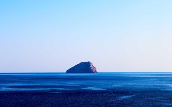 Ground Cover for Slopes and Erosion Control