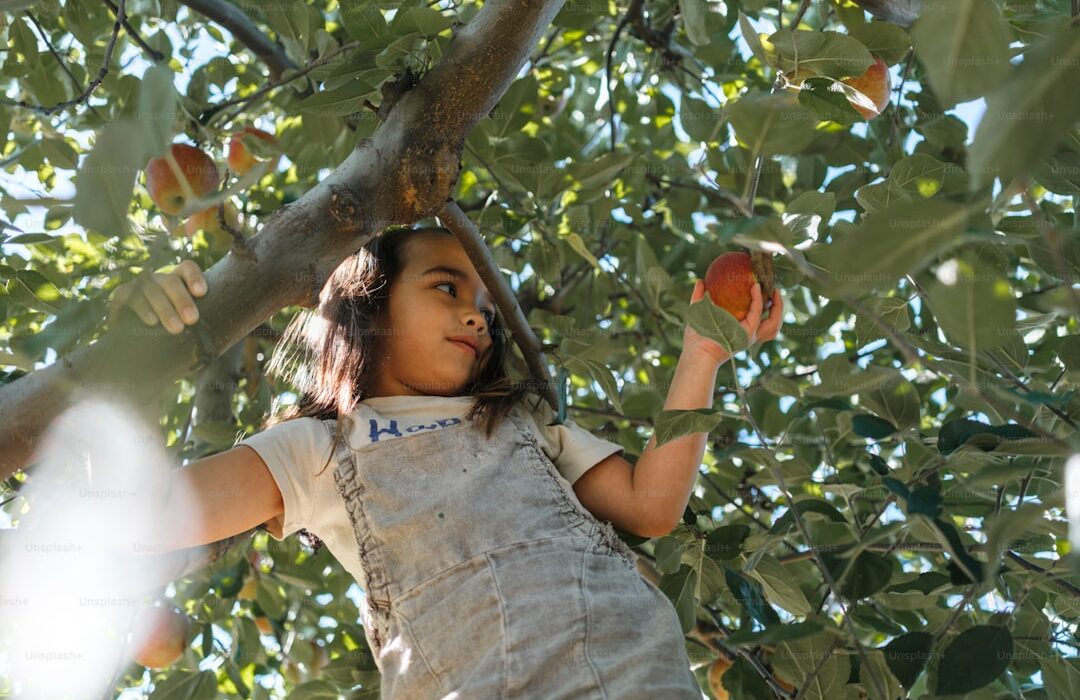 How to Plant, Grow, and Care for Apple Trees - Complete Guide - gardening guide by Planters Realm