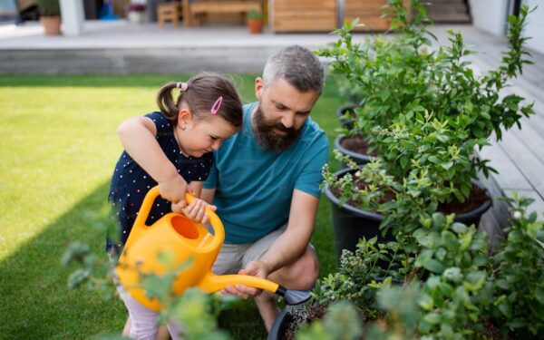 How to Plant, Grow, and Care for Blueberry Bushes - Complete Guide - gardening guide by Planters Realm