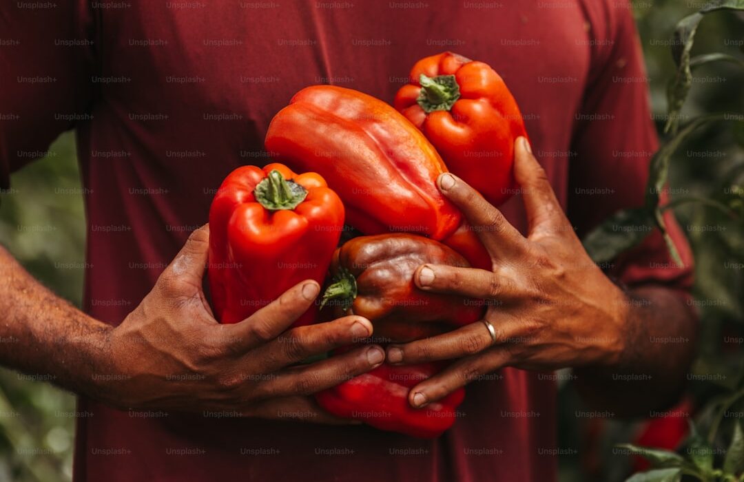 How to Plant, Grow, and Care for Peppers: Complete Guide - gardening guide by Planters Realm