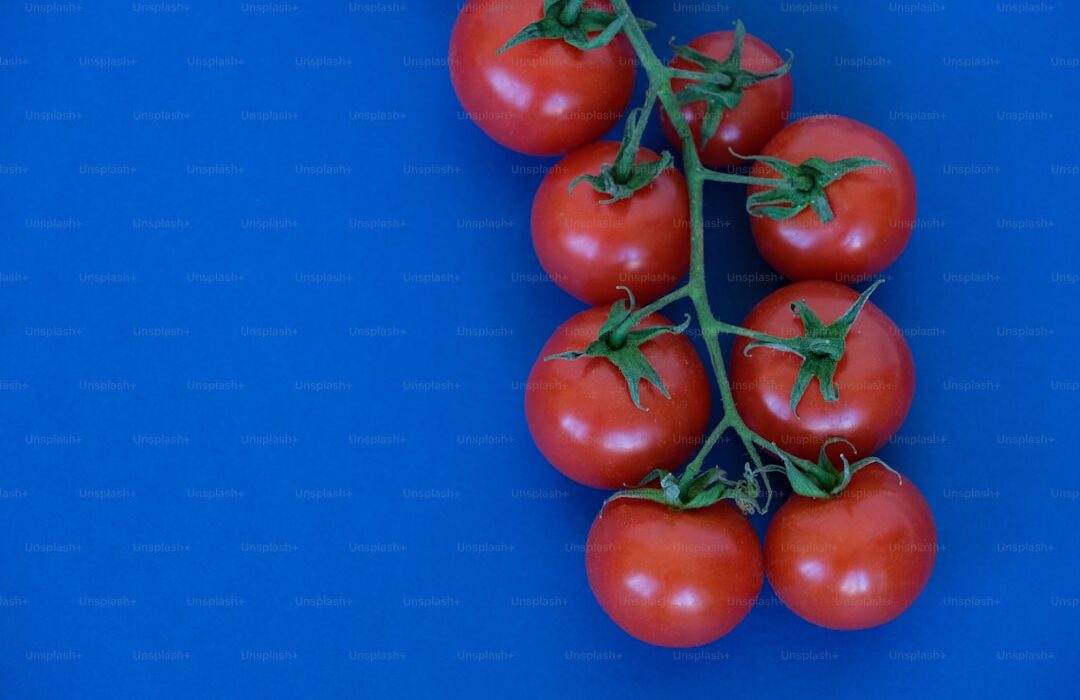 How to Plant, Grow, and Care for Tomatoes: Complete Guide - gardening guide by Planters Realm