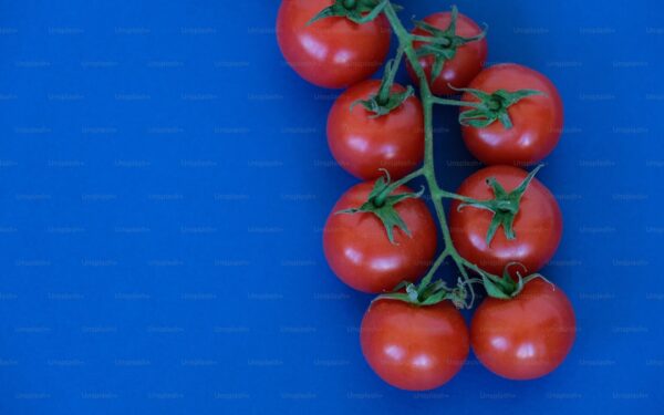 How to Plant, Grow, and Care for Tomatoes: Complete Guide - gardening guide by Planters Realm