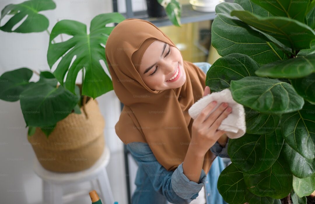 Growing Fiddle Leaf Fig: Troubleshooting Brown Spots and Leaf Drop