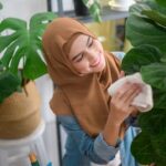 Growing Fiddle Leaf Fig: Troubleshooting Brown Spots and Leaf Drop