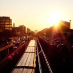 Growing Passion Fruit Vine: Tropical Beauty and Fruit