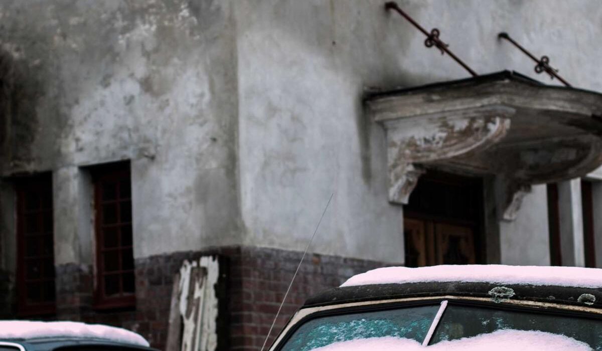 Growing Pecan Trees: Southern Nut Tree for Large Properties