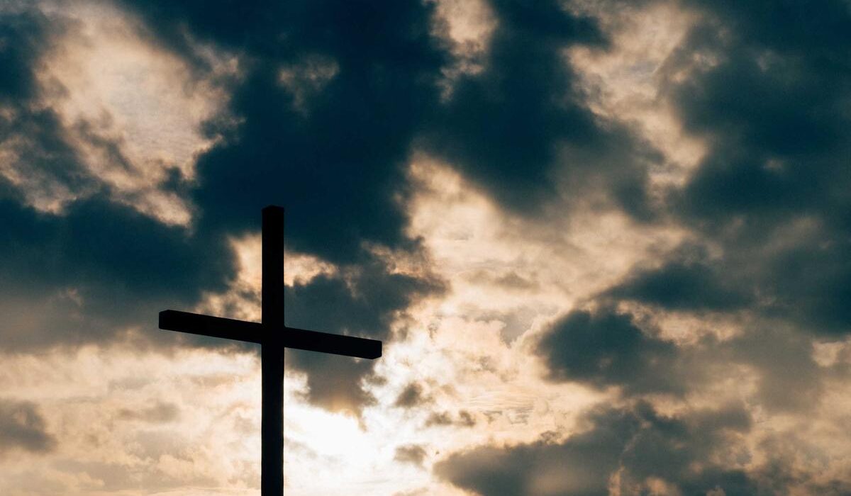 Growing Strawberries Vertically: Tower and Wall Planter Guide