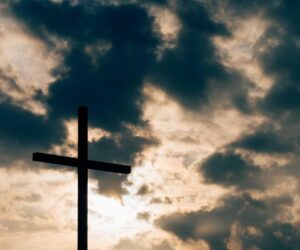 Growing Strawberries Vertically: Tower and Wall Planter Guide