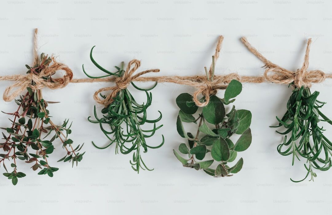 Harvesting and Drying Herbs: Preserve Garden Freshness Year-Round