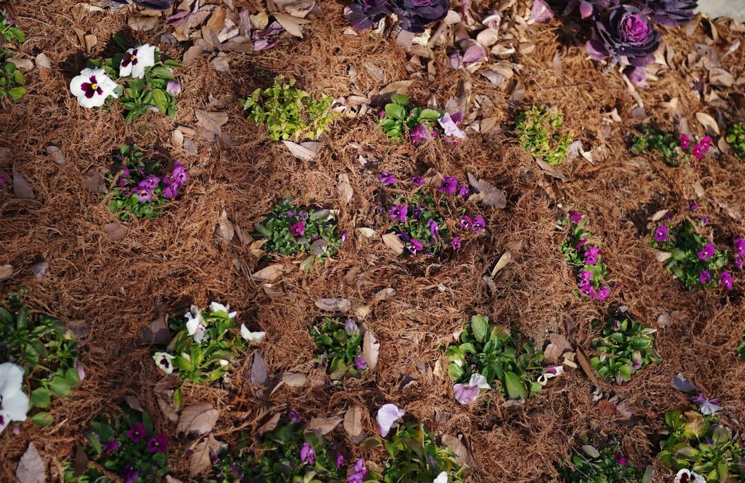 Homemade Organic Fertilizers: 10 Kitchen Scrap Recipes