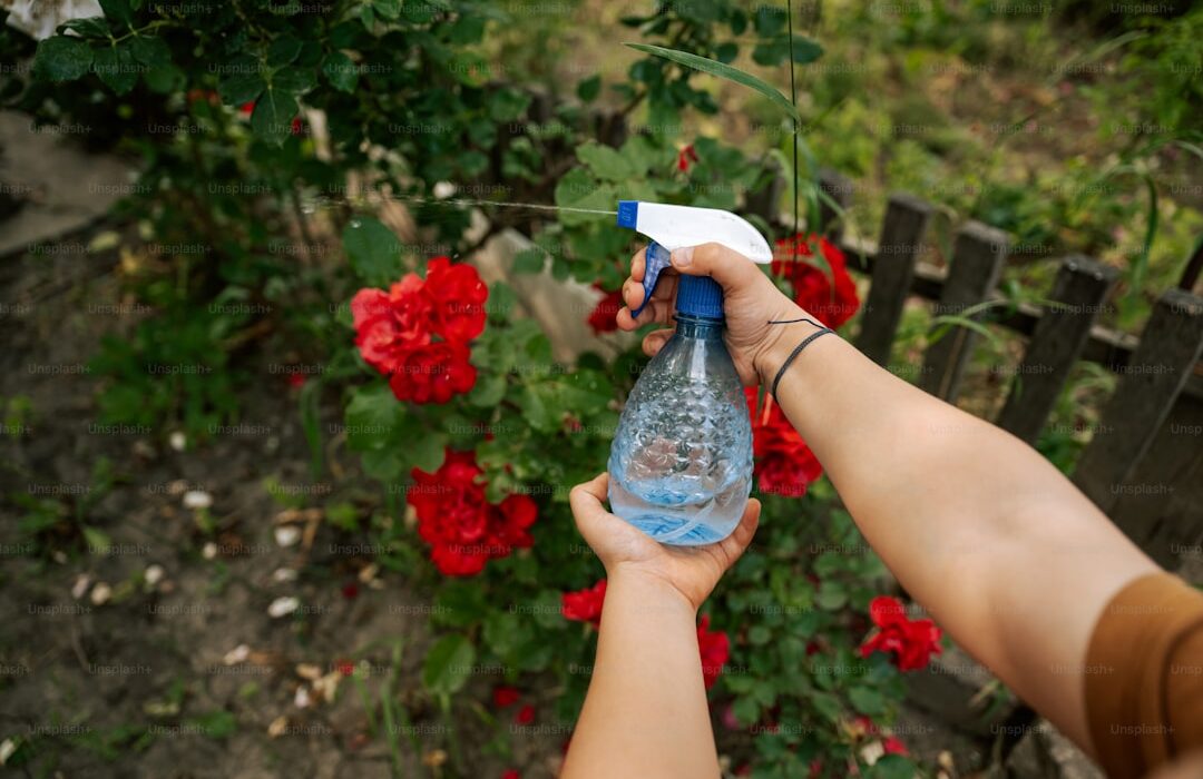 Homemade Organic Pest Sprays: Safe Recipes That Actually Work