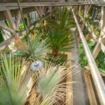 Houseplant Pest Guide: Identify and Eliminate Indoor Plant Pests