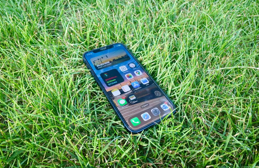 How Much Mulch Do You Need: Calculator and Application Guide