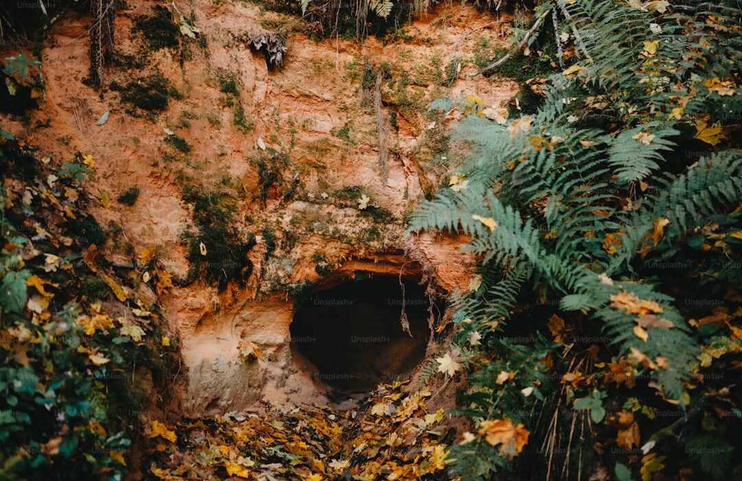 How to Build a Root Cellar for Year-Round Food Storage