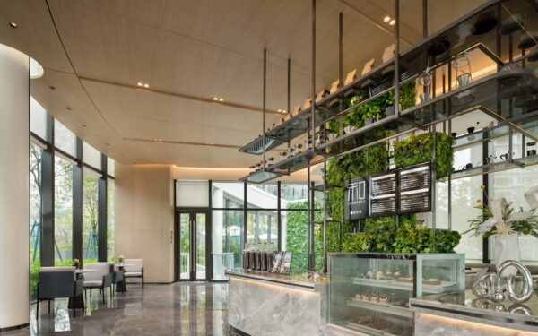 How to Build a Succulent Living Wall or Vertical Garden