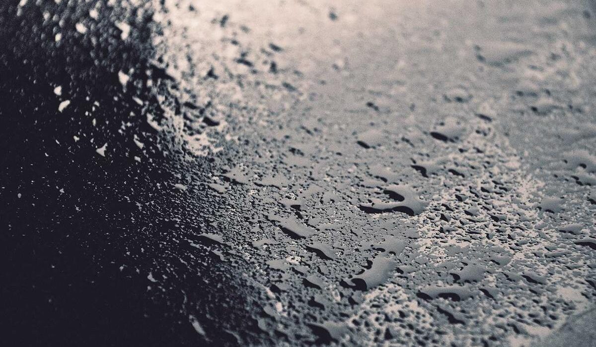 How to Build and Train Vines on a DIY Trellis