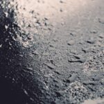 How to Build and Train Vines on a DIY Trellis