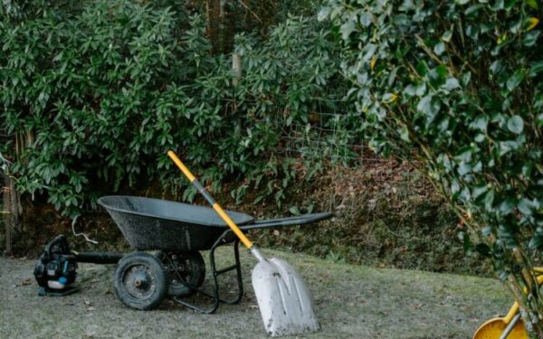 How to Control Weeds in Pathways and Between Beds