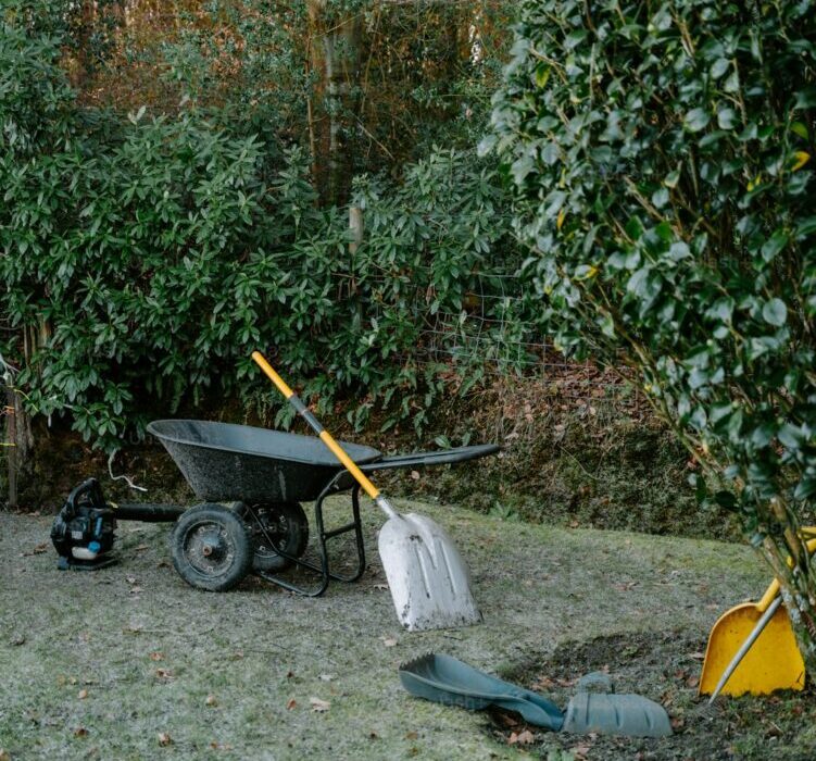 How to Control Weeds in Pathways and Between Beds