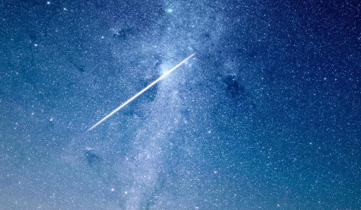 How to Crack, Shell, and Store Home-Grown Nuts