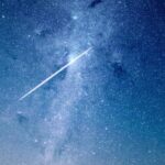 How to Crack, Shell, and Store Home-Grown Nuts