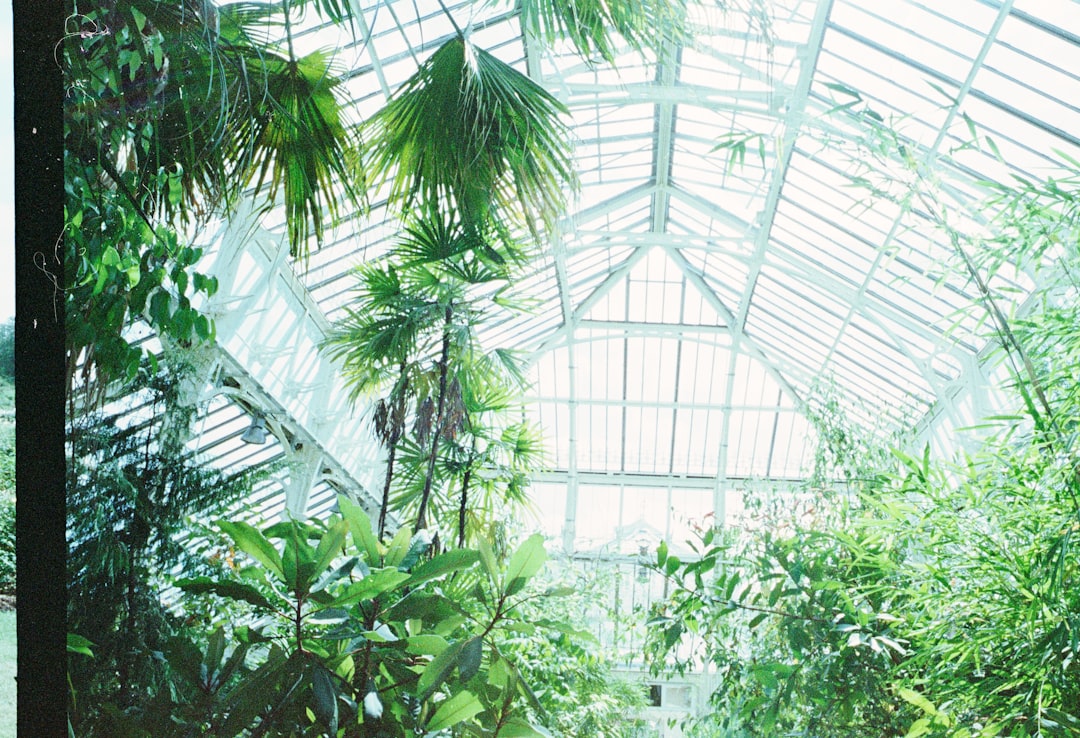 How to Create a Tropical Indoor Jungle on a Budget (2026) - Planters Realm