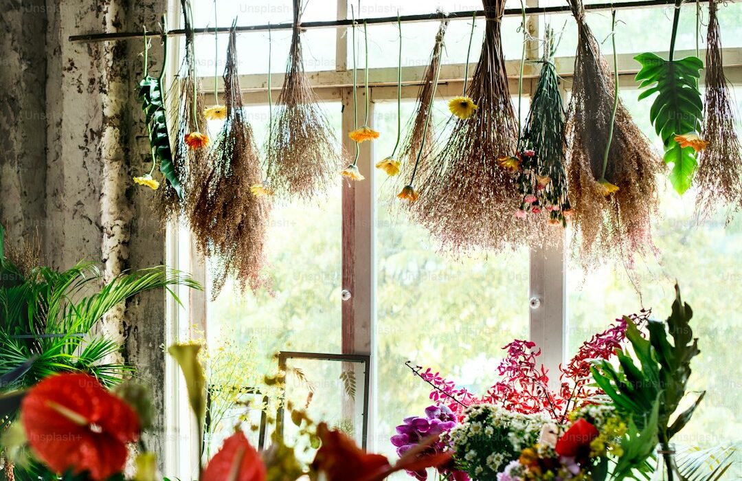 How to Dry and Preserve Garden Herbs: Complete Method Guide