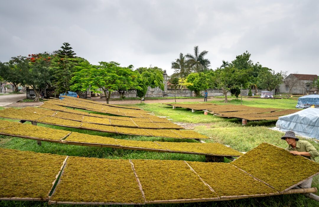 How to Fertilize Raised Beds Safely