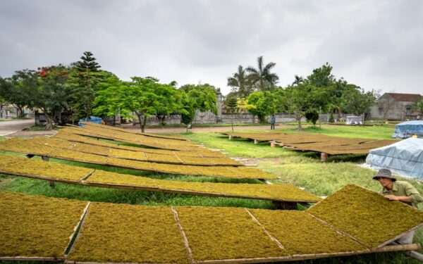 How to Fertilize Raised Beds Safely